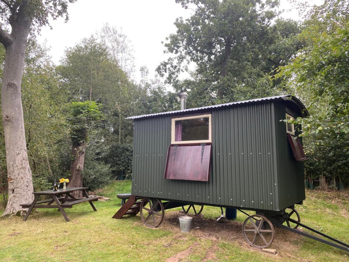The Shepherd's Hut - Wild Escapes Wrenbury Off Grid Glamping - Ages 12 And Over