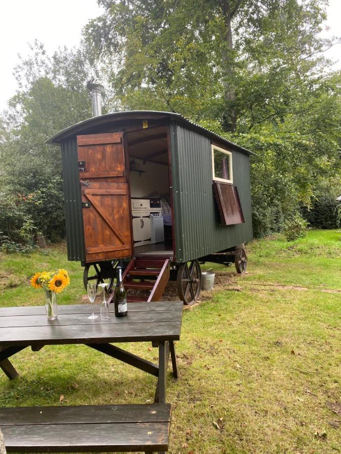 The Shepherd's Hut - Wild Escapes Wrenbury Off Grid Glamping - Ages 12 And Over Luxury tent Baddiley