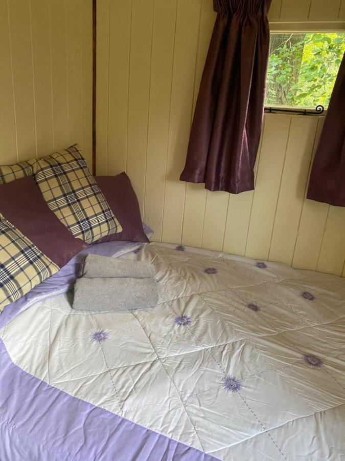 The Shepherd's Hut - Wild Escapes Wrenbury Off Grid Glamping - Ages 12 And Over Luxury tent